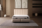 Dream Boxspringbett